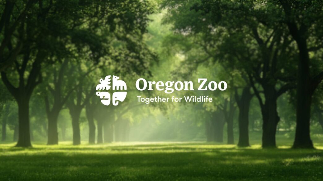 Oregon Zoo Avverte Compromess