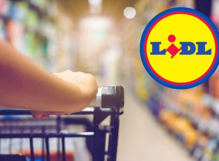 Lidl, i prodotti di più alta qualità secondo Altroconsumo