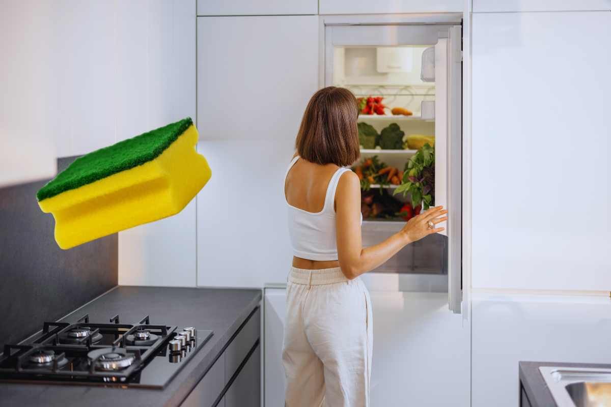 Il Trucco Della Spugnetta Nel Frigo