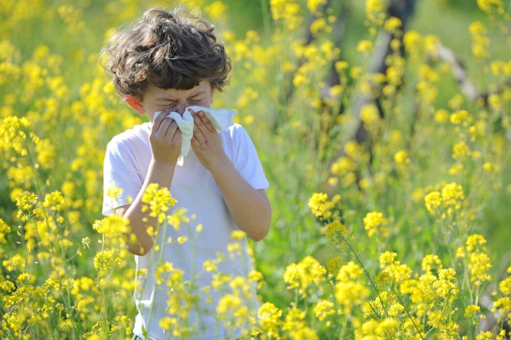 Allergie Stagionali3A Un Approf