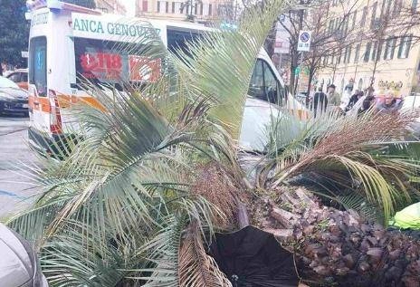 Genova3A Aperto Fascicolo Per O