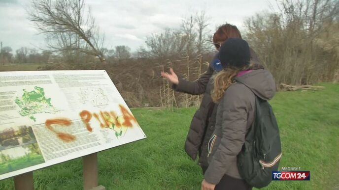 &Quot;Alberi Abbattuti A Milano Per La Creazione Di Ciclabili, Preoccupazione Tra I Cittadini.&Quot;