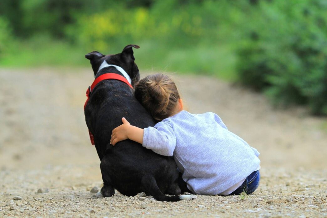 &Quot;Convivenza Sicura Tra Bambini E Cani: Consigli Di Pediatri E Veterinari Per Prevenire Incidenti Senza Colpevolizzare Gli Animali.&Quot;